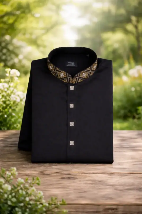 Elegant Royal Noir Heritage Panjabi with intricate embroidery details.