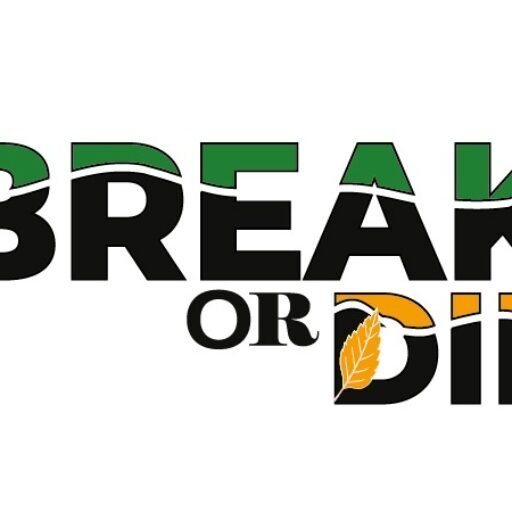 Instant form site logo