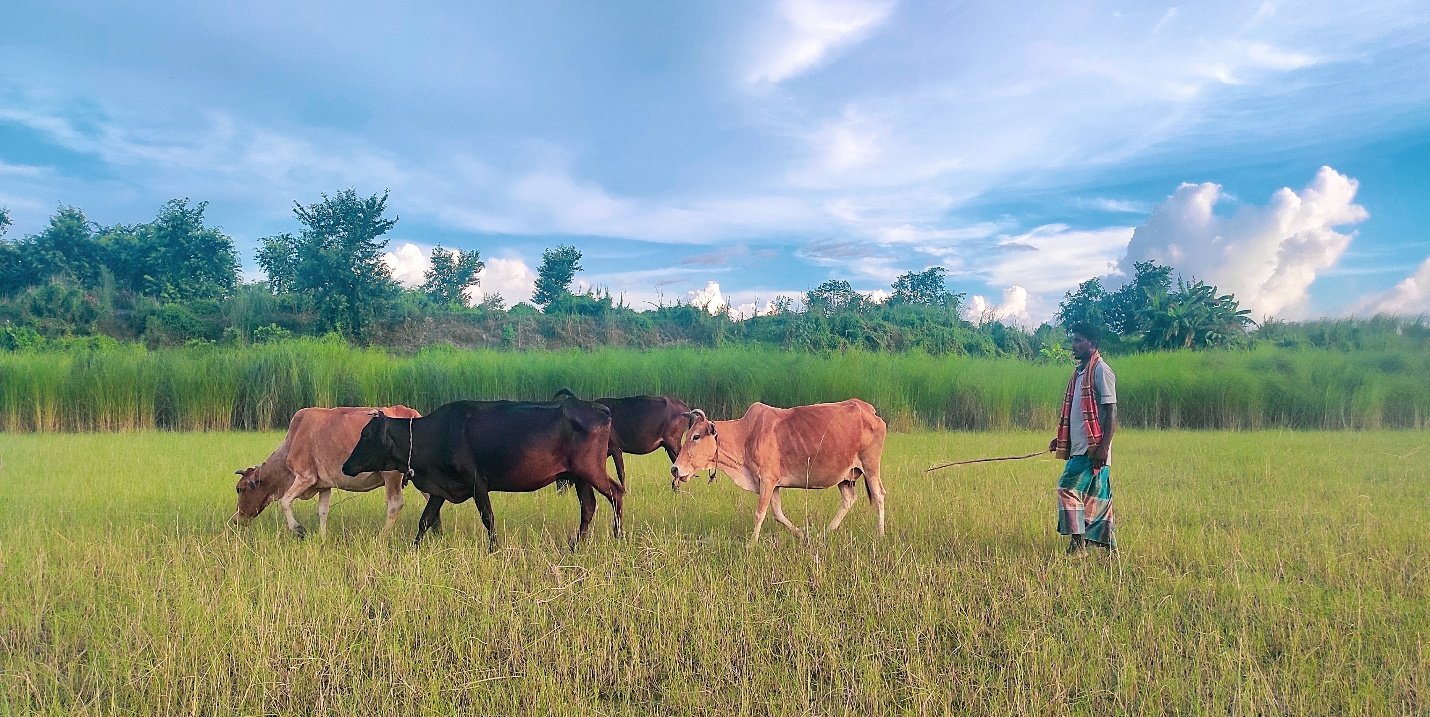 Beyond the Barn: Smallholder Livestock Systems and the Hidden Sustainability Challenge